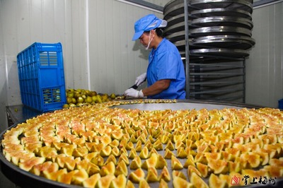 集中&ldquo;發糖&rdquo;!從鮮果到制品,記者帶你實地解密無花果干制作過程~