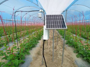 企業(yè)發(fā)展 北京商報網(wǎng) 慧云信息在農(nóng)業(yè)大數(shù)據(jù)搶占了一把先機