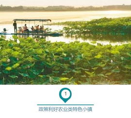 行業(yè)淺析︱農(nóng)業(yè)特色小鎮(zhèn)的內涵