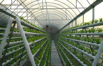 臺(tái)州市三門縣洋市涂6000畝現(xiàn)代農(nóng)業(yè)基地開發(fā)項(xiàng)目