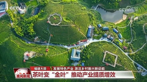 發(fā)展特色產(chǎn)業(yè) 激活鄉(xiāng)村振興新動(dòng)能