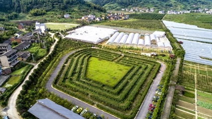 認(rèn)養(yǎng)農(nóng)業(yè)app模式定制開發(fā) 認(rèn)養(yǎng)農(nóng)業(yè)發(fā)展方案