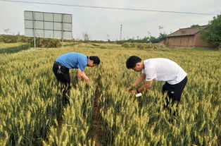 陜西省農(nóng)業(yè)機(jī)械化發(fā)展中心信息網(wǎng)