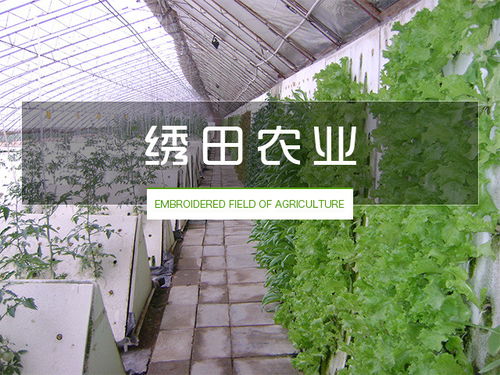 無土栽培設備價格 無土栽培 繡田農業有口皆碑