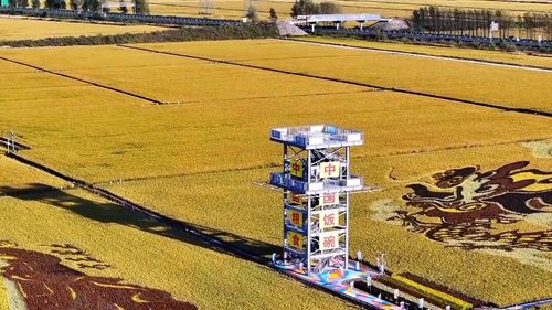 數說新中國75年 農業發展闊步前行 現代農業譜寫新篇