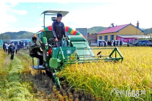 探索現(xiàn)代農(nóng)業(yè)發(fā)展新路徑