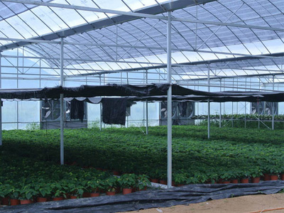 亞日集團助力光伏農業大棚發展