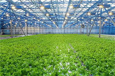 開一家天賦生態農業開發加盟費多少?大致需要8.1萬元起