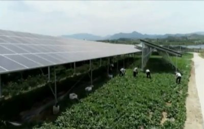 容益(海南)東方現(xiàn)代設(shè)施農(nóng)業(yè)產(chǎn)業(yè)園建設(shè)取得新進(jìn)展