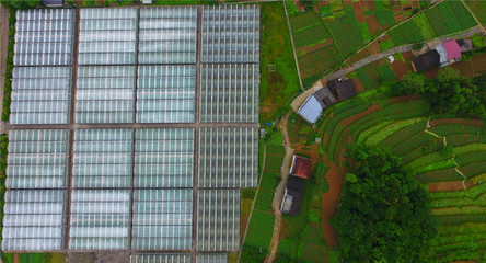 重慶巫溪 技術(shù)提升助力馬鈴薯產(chǎn)業(yè)發(fā)展，推動農(nóng)業(yè)創(chuàng)新開發(fā)