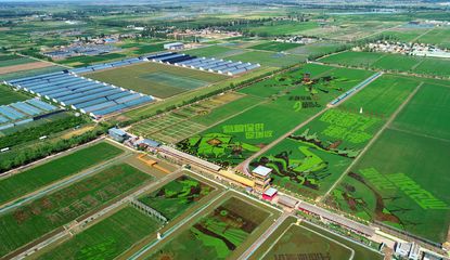 銀川農(nóng)業(yè)開發(fā)新篇章 創(chuàng)新驅(qū)動與可持續(xù)發(fā)展并進