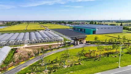 鹽城市農(nóng)業(yè)農(nóng)村局 豐盈四倉——江蘇省鄉(xiāng)村振興示范村的農(nóng)業(yè)開發(fā)實踐