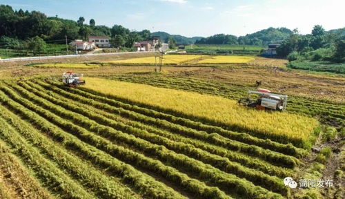 農(nóng)業(yè)強 農(nóng)村美 農(nóng)民富 這樣的鄉(xiāng)村你愛了嗎