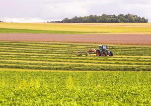 農(nóng)業(yè)部發(fā)文推進農(nóng)業(yè)開發(fā)，五大領(lǐng)域?qū)@政策紅利