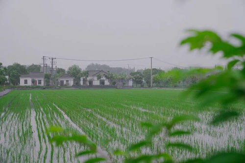 搶抓農(nóng)時(shí)促春耕 夯實(shí)基礎(chǔ)保發(fā)展——余旭峰強(qiáng)調(diào)扎實(shí)推進(jìn)農(nóng)業(yè)開發(fā)確保全年農(nóng)業(yè)農(nóng)村經(jīng)濟(jì)良好態(tài)勢