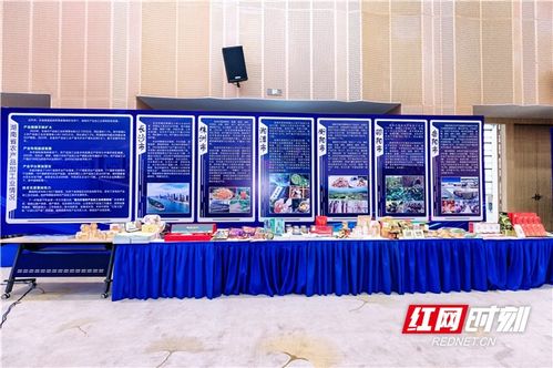 農(nóng)博現(xiàn)場丨簽約金額超45億，湖南農(nóng)業(yè)招商引資對接會助力中部農(nóng)產(chǎn)品加工業(yè)發(fā)展