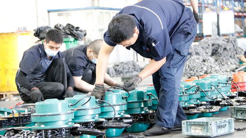 價(jià)格與價(jià)值:爬架電動(dòng)提升機(jī)的檢測(cè)技術(shù)服務(wù)探討